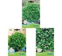 Germisem Curled Graines de Cerfeuil+Cerfeuil COMMUM+Cresson vivace de jardin