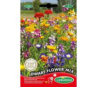 Germisem Dwarf Graines de Mélange de Fleurs 8 g EC1650 Multicolore