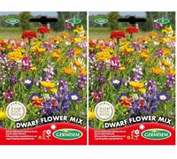 Germisem Dwarf Graines de Mélange de Fleurs 8 g EC1650 Multicolore (Lot de 2)