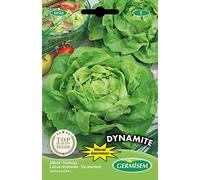 Germisem Dynamite Graines de Laitue 0.5 g EC6026 Multicolore