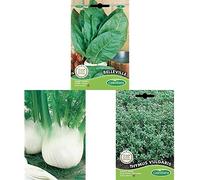 Germisem Fino Graines de Fenouil+graines Thym d'hiver+graines Oseille BELLEVILLE