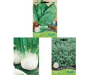 Germisem Fino Graines de Fenouil+graines Thym d'hiver+graines Oseille BELLEVILLE