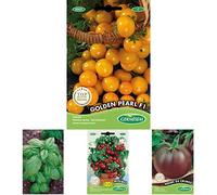Germisem Golden Pearl F1 Graines de Tomate+Genovese Graines de Basilic+Tomate cerise pour pot MINIBEL+Tomate NOIRE DE CRIMEE