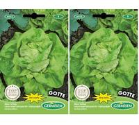 Germisem Gotte Graines de Laitue 5 g EC6022 Multicolore (Lot de 2)