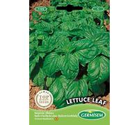 Germisem graines Basilic à feuilles de laitue LETTUCE LEAF
