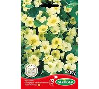 Germisem Graines Capucine grimpante YETI