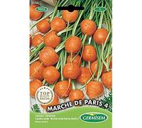 Germisem graines Carotte ronde MARCHE DE PARIS 4