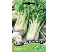 Germisem graines Céleri plein blanc Doré Chemin 2
