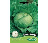 Germisem graines Chou blanc BRUNSWICK