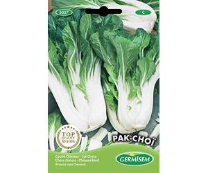 Germisem graines Chou chinois PAK-CHOÏ