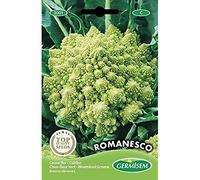 Germisem graines Chou-fleur vert ROMANESCO