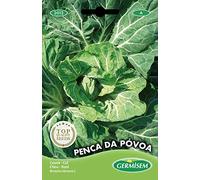 Germisem graines Chou PENCA DA PÓVOA