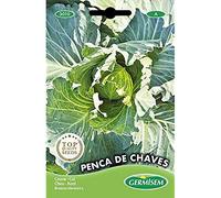 Germisem Graines Chou Penca de Chaves EC3010 Multicolore