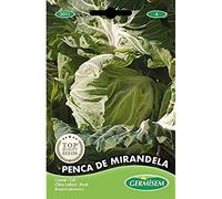 Germisem graines Chou PENCA DE MIRANDELA