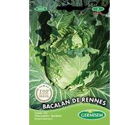 Germisem graines Chou pointu BACALAN DE RENNES
