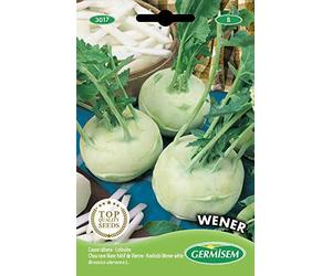 Germisem graines Chou rave blanc hâtif de Vienne WENER