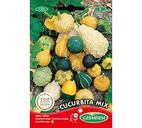 Germisem Graines Coloquintes en mélange CUCURBITA MIX EC1520 Multicolore