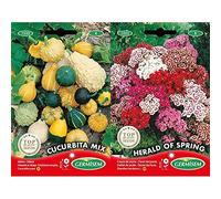 Germisem Graines Coloquintes en mélange CUCURBITA MIX+Herald of Spring Graines de Clous de Girofle