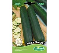 Germisem graines Concombre MARKETMORE