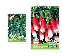 Germisem graines Cornichon vert PETIT DE PARIS & graines Radis demi-long de 18 jours