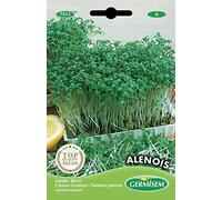 Germisem graines Cresson Commun ALENOIS