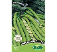 Germisem Graines de Fèves Super Aguadulce