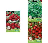 Germisem Graines Fraise + Tomate + Menthe