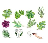 Germisem Graines Herbs Essentials Multicolore