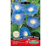 Germisem Graines Ipomée grimpante Tricolor Heavenly Blue EC1537