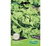 Germisem graines Laitue pommée APPIA