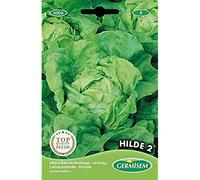 Germisem graines Laitue pommée HILDE 2