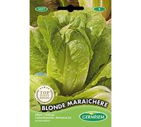 Germisem graines Laitue Romaine BLONDE MARAICHERE