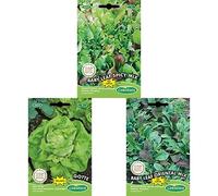 Germisem graines Mélange Babyleaf SPICY MIX+Gotte Graines de Laitue+graines Mélange Babyleaf ORIENTAL MIX