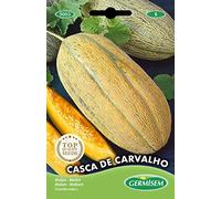 Germisem graines Melon CASCA DE CARVALHO