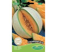 Germisem graines Melon CHARENTAIS