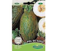 Germisem graines Melon PIEL DE SAPO