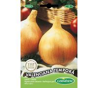 Germisem graines Oignon jaune automne VALENCIANA TEMPORÃ