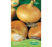 Germisem graines Oignon jaune paille VERTUS