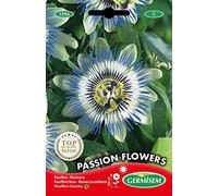 Germisem Graines Passiflore bleue PASSION FLOWERS