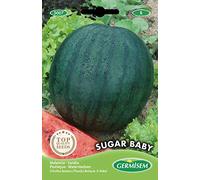 Germisem graines Pastèque SUGAR BABY