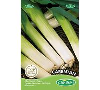 Germisem graines Poireau d'automne CARENTAN