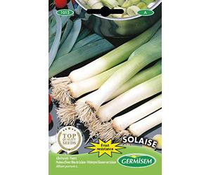 Germisem graines Poireau d'hiver Bleu de Solaise SOLAISE