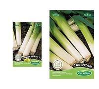 Germisem graines Poireau d'hiver de liège WINTER GIANT 2+ d'automne CARENTAN