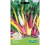 Germisem graines Poirée BRIGHT LIGHTS