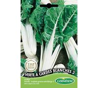 Germisem graines Poirée VERTE A CARDES BLANCHES 3