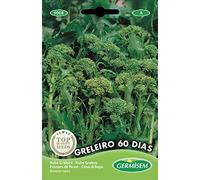 Germisem graines Pousses de navet GRELEIRO 60 DIAS