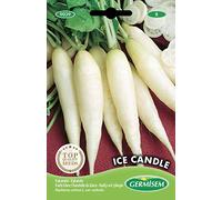 Germisem graines Radis blanc Chandelle de Glace