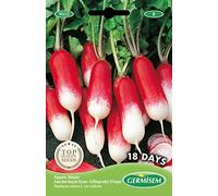 Germisem graines Radis demi-long de 18 jours