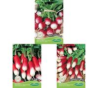Germisem graines Radis demi-long FLAMBOYANT+Graines de Radis+Radis à bout blanc NATIONAL 2