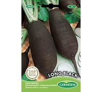 Germisem graines Radis noir gros long d'hiver